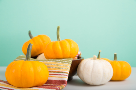 Orange and white mini pumpkins on a pale green backgroundの写真素材