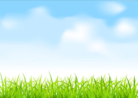 green grass and blue skyのイラスト素材