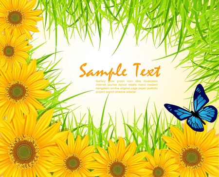 vector background with yellow sunflowers, green grass and butterfliesのイラスト素材