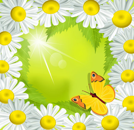frame of daisies with a butterfly on a green backgroundのイラスト素材
