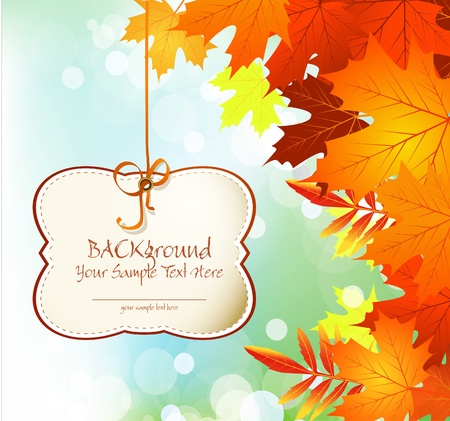 autumn congratulatory and festive background with leaves and blue skyのイラスト素材