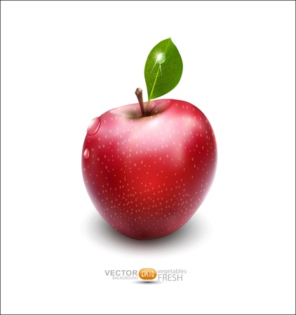  red apple with green leaf on white backgroundのイラスト素材