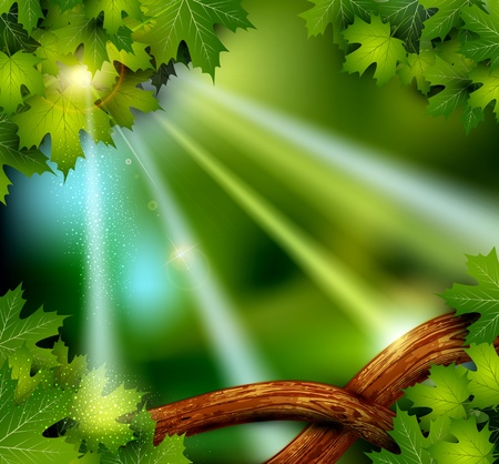vector background of the mystical mysterious forest with trees and leavesのイラスト素材