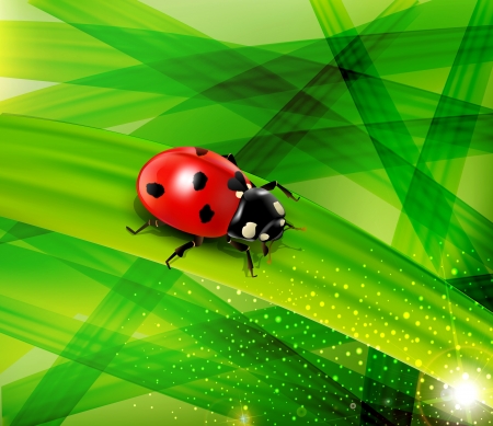 Vector ladybug on the background of green lush grassのイラスト素材