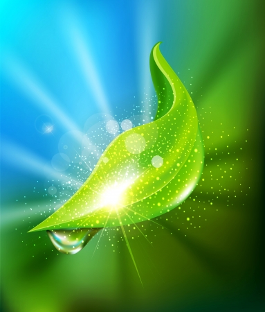 vector abstract background of green leaf and a drop of dewのイラスト素材