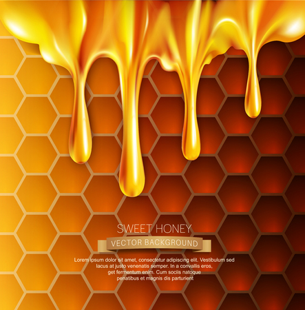 vector background with honeycombs and honeyのイラスト素材