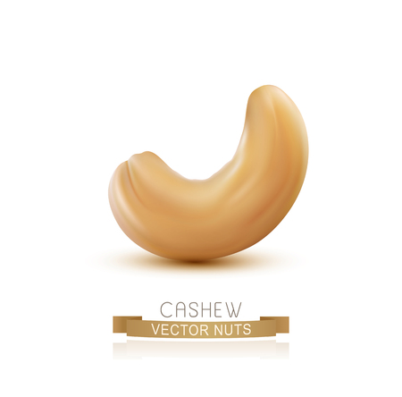 vector cashew nut, one, isolated on white backgroundのイラスト素材