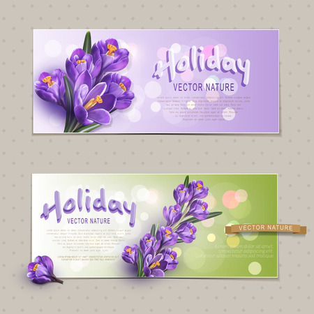 Set. Two greeting cards for the holiday, with blue crocusesのイラスト素材