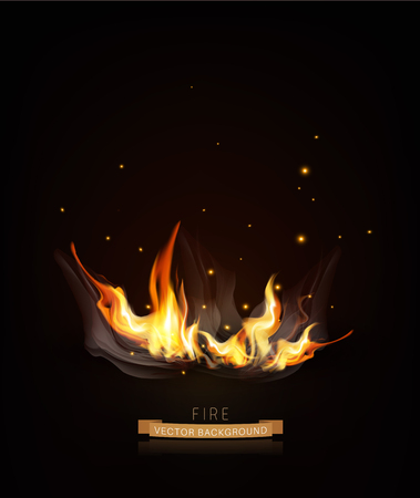 Vector burning fire on a dark (night) background.のイラスト素材