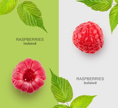 Isolated raspberry berries with leaves on a white and green background. View topの写真素材