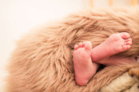 legs of a newborn baby in a fur blanketの写真素材