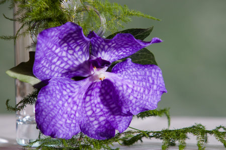 purple orchid bridesmaid hand decorationの写真素材