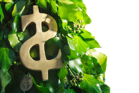 handmade golden dollar symbol hanging  on design green New Year tree isolated on white backgroundの写真素材