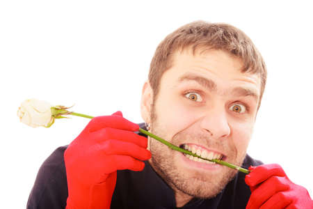 closeup portrait of handsome man with white rose gift for Valentine dayの写真素材