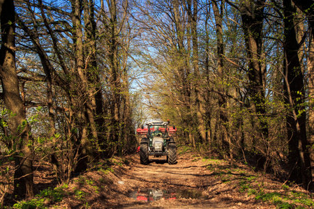 tractor cultivator on big wheels on natural soil road in spring forest against blue sky