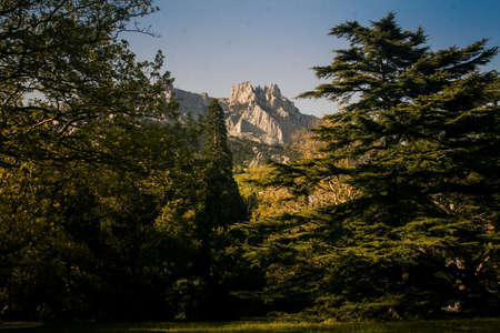 distant rocky mountain peak surrounded by green forest under sunlight from Vorontsov palace spring park in Crimeaのeditorial素材