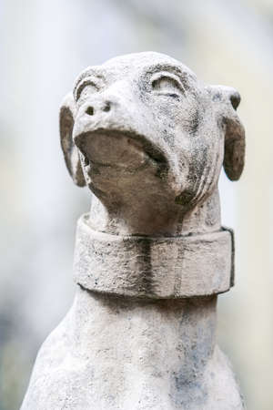 closeup head of dog marble sculpture in dog-collar of Lviv city fountainの写真素材