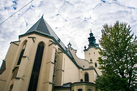 age-old white Gregg-catholic cathedral against cloudy sky at foreground large green tree in old european cityの写真素材