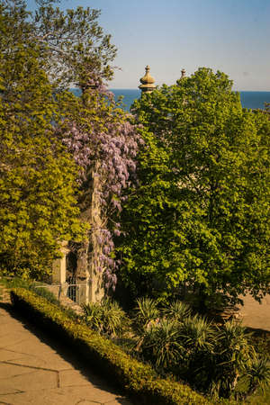 Vorontsov palace park walk-road alongside facade near green bushes park fence with blooming climber plants in Crimeaのeditorial素材