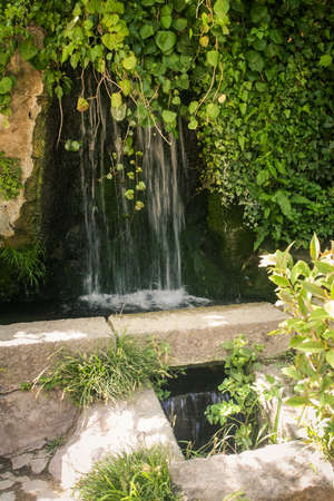 Crimea Vorontsov palace park small waterfall among green climber plants under sunlightのeditorial素材