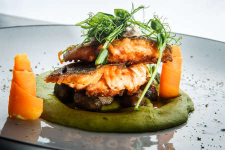 closeup finely decorated baked salmon fillet with greens and carrot and green puree on modern plate against white backgroundの写真素材
