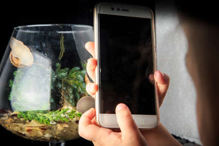 little girl takes phone picture of snails in wineglassの写真素材