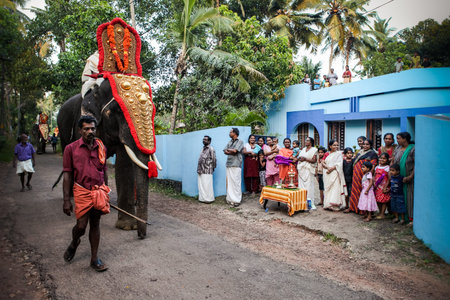 indian people watch on decorated elephants walking by village on traditional festival
