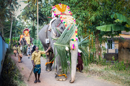 indian men lead decorated elephants walking by village on annual traditional festival