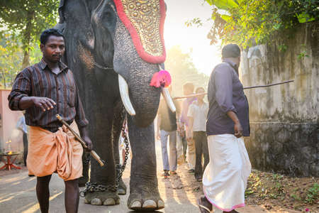 closeup indian men and elephants walking by village street on traditional festivalのeditorial素材