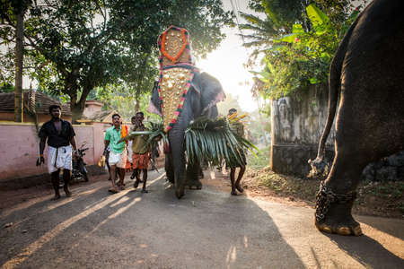 decorated elephants walking by indian village with bright back sunlight on festivalのeditorial素材