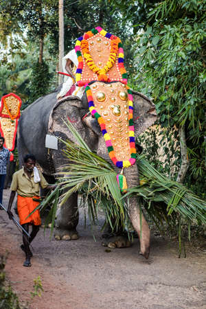 indian man lead decorated elephant walking by village on annual traditional festivalのeditorial素材
