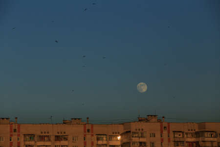 large white full moon on clear blue over an urban high building in evening summertimeの写真素材