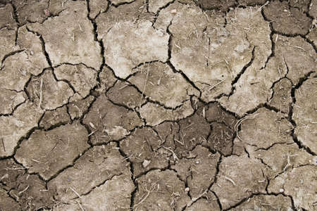 Close-up view of arid craced earth  1 の写真素材