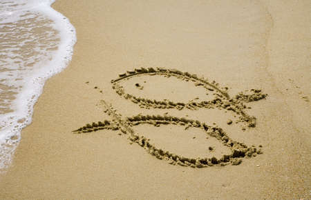 Pisces pictured on the sand of coastline  の写真素材