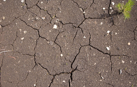 Texture of cracked soil in hot summer day  