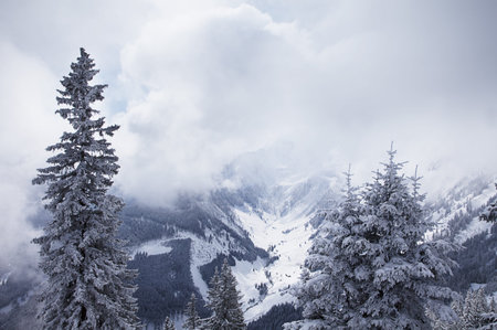 Foggy forest and mountains in winter. Bad Gastein, Austrian Alps