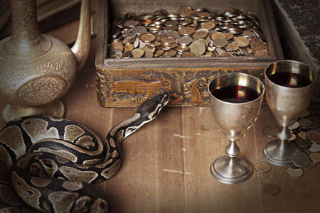 Vintage still life with Royal Python snakeの写真素材