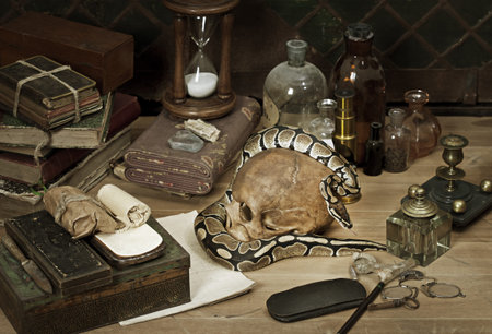 Alchemy still life with Royal Python snakeの写真素材