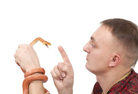 Young man with Red Texas rat snake in his handの写真素材