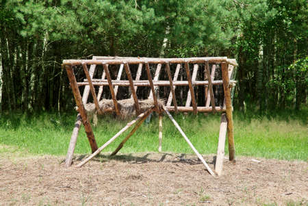 The animals feeder on the edge of the forest on a sunny summer dayの写真素材