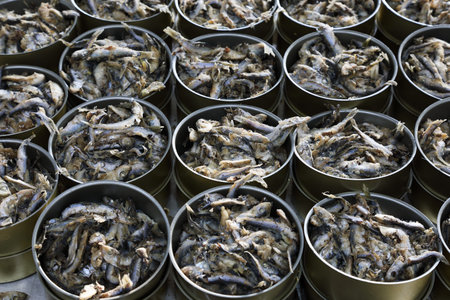Unfit for human consumption canned fish close up