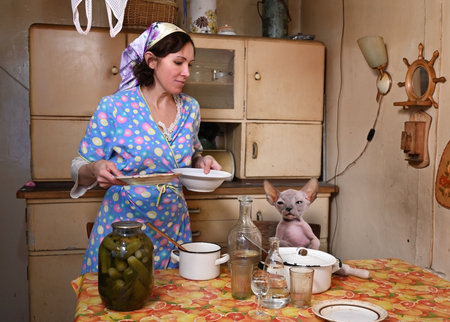 Woman in the kitchen at home has prepared dinner and at the table sits a hairless cat sphinxの写真素材