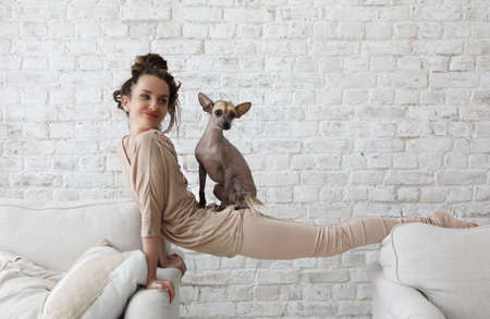 Middle aged sporty woman having fun at home with her dog xoloitzcuintli which is sitting on her backの写真素材