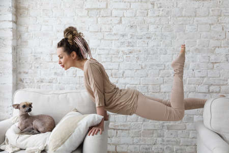Slim athletic woman doing acrobatic exercises in the living room at home. Xoloitzcuintli dog lying on a chair and carefully watches its ownerの写真素材