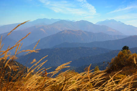 Amazing Caucasus mountain landscape with a rocky ridge in the distance and an autumn meadow in the foreground. Adygea, Russiaの写真素材