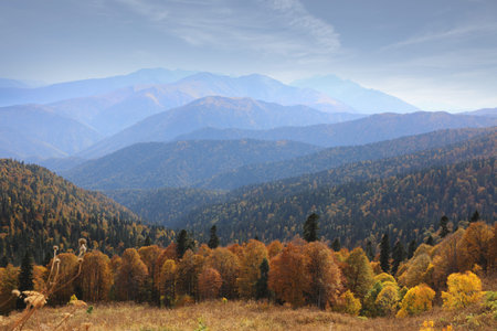 Wonderful Caucasus mountain landscape with a rocky ridge in the distance and an autumn meadow in the...