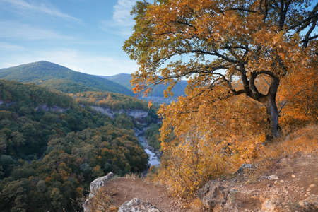 View of the mountains and yellow-orange trees in autumn. The Caucasus nature reserve in Russiaの写真素材