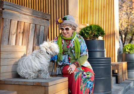 Brightly dressed granny in a hat and sunglasses sitting on a city bench with her dogの写真素材