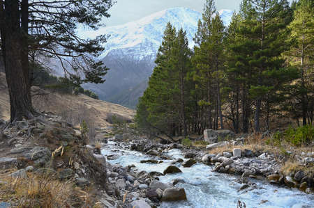 Landscape with snow-capped Caucasus mountains and mountain river, Russiaの写真素材