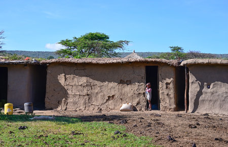 MAASAI MARA NATIONAL RESERVE, KENYA, AFRICA - NOVEMBER 11, 2022:  Typical Masai clay home in a Maasai village in Kenya, Africaのeditorial素材
